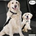 2 Adjustable Car Seat Belts for Dogs & Cats - Triple the survival rate in accidents - Prevent stress from travel in kennel - Allow breathing fresh air without pets jumping out - Support all cars - B01N1F2RFO