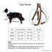 CATOOP Dog Harness Leash Set Adjustable Durable Leash No Pull Dog Collar Leash Set for Small Medium Large Dogs Training Walking Running - B073CQJCJQ
