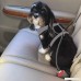 Cos2be No Pull Adjustable Reflective Pet Vest Harness -Soft Dog Leash With Dual Bungees- Pet Car Seat Belt For Small Medium Large Dogs - B0748F28DH