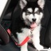 Dod Seatbelt Adjustable Pet Car Safety Seat Belt Nylon Dogs Leads Vehicle Seatbelts 3 Pack - B01LY5OG79
