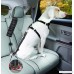 Dog Seat Belt Harness with Elastic Bungee Buffer Car Safety Belt Adjustable Leads Vehicle Seatbelt for Attenuation and Pet's Safety Nylon Fabric Reflect-light - B074KVGH74