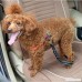 GDKEY Pet Dog Cat Reflective Seat Belt Safety Leash Adjustable Vehicle Nylon Car Seatbelt Harness with Elastic Bungee Buffer - B01N4HQMJC