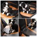 Mudder Pet Dog Seat Belt Leash Adjustable Cat Safety Leads Vehicle Car Seatbelt Harness with Elastic Nylon Bungee Buffer - B01M1RK3C4