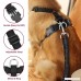 Nasus Dog Car Harness Seat Belt Vest Harness Multifunction Adjustable Double Breathable Mesh Fabric with Car Vehicle Connector Belt for Dogs Travel Walking Trip - B07D55ZN1N