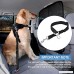 OWNPETS Dog Seat Belt Dog Collar Collection 2 Packs Adjustable Durable Dog Car Safety Seat Belt Leash with Elastic Nylon Bungee Buffer Vehicle Seat Belt Leash for Small Medium Large Dogs (20-30) - B07CQJ7QTJ