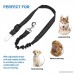 OWNPETS Dog Seat Belt Dog Collar Collection 2 Packs Adjustable Durable Dog Car Safety Seat Belt Leash with Elastic Nylon Bungee Buffer Vehicle Seat Belt Leash for Small Medium Large Dogs (20-30) - B07CQJ7QTJ