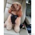 Pet Dog Cat Car Auto Vehicle Safety Harness with Tether Seatbelt Chest Plate Car Dog Harness Best Seat Belt Car Harness Restraints Seatbelts for Pets Dogs Adjustable - B01KHTKSIW