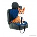 Petmate Seat Belt Travel Harness for Pets - B00DJRAT7K