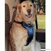 PetSafe Solvit Deluxe Car Safety Dog Harness Adjustable Crash-Tested Dog Harness Car Safety Seat Belt Tether Included - B00JZHRXLI