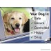 RYPET Dog Seat Belt 2 Packs - Dog Cat Safety Car Headrest Restraint Adjustable Nylon Fabric Dog Restraints Vehicle Seatbelts Harness - B07B7GP56D