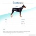SCENEREAL Dog Safety Harness for Cars with Seat Belt Adjustable Travel Vest Harness Black - B07B65NC95