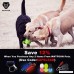 WATFOON Chew-Proof Dog Car Seat Belt Tether Cable Stainless Steel Water-Proof Leash Rope，Durable Safety Dog Vehicle Seatbelt Lead Use With Harness for Small Medium And Large Dogs - B074QCDY4L