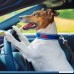 Yuiip Dog Seat Belt Tether Car Leash - Adjustable Pet Safety Belt Clip - 2rd Generation Reflective Seatbelt For Small Medium Large Dogs 1 Pack - B076CGK3BT