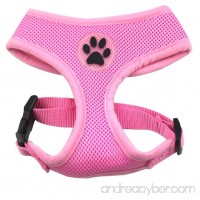 BINGPET BB5001 Soft Mesh Dog Harness Pet Walking Vest Puppy Padded Harnesses Adjustable - B00OVW6XGS