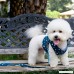Bro'Bear Pet Stars Vest Mesh Harness and Leash Set Blue for Cats & Small Dogs Blue - B00XWC5P1M