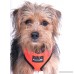 Comfort Control Dog Walking Harness Support Mesh Padded Vest Accessory Collar Lightweight No More Pulling Tugging or Choking for Puppies Small Dogs (Sizes: Small Medium Large & X-Large) - B01M694P4E