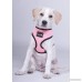 Comfort Control Dog Walking Harness Support Mesh Padded Vest Accessory Collar Lightweight No More Pulling Tugging or Choking for Puppies Small Dogs (Sizes: Small Medium Large & X-Large) - B01M694P4E
