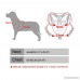 Didog Leather Spiked & Studded Medium & Large Dog Harness for Pit Bulldog Mastif - B00IOGP85Y