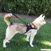 Dog Harness No Pull Pet Harness Adjustable Pet Vest basic Halter Harnesses For Large Medium Dogs Harness Leather Safety Lock Dog Harness For Walking Or Training - B078GJ86LS