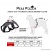 Dog Walking Lifting Carry Harness Support Mesh Padded Vest Accessory Collar Lightweight No More Pulling Tugging or Choking for Puppies Small Dogs (Black Small) by Downtown Pet Supply - B0757ZRVD7