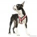 Gooby Choke Free Comfort X Soft Dog Harness - B00F9QE1OG