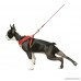 Gooby Choke Free Freedom Mesh Harness Specially Made for Small Dogs X-Small Black - B00HFQZOYE