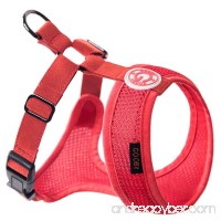 Gooby Choke Free Freedom Mesh Harness Specially Made for Small Dogs  X-Small  Black - B00HFQZOYE