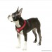 Gooby Soft Mesh Harness for Small Dogs - B00SMIRZXC