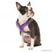 Gooby Trekking Memory Foam Harness & Comfort for Dogs - B017Y0TF5O