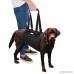 IN HAND Dog Support Harness Dog Lift Harness with Adjustable Support Sling for Canine Aid Helps Canine Arthritis Rehabilitation Poor Stability Joint Injuries and Injured Dogs Walk - B07DNB8MQS