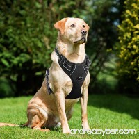 Lifepul(TM) Front Range No Pull Dog Vest Harness - Dog Body Padded Reflective Vest with Handle - Oxford Material Vest for Dogs Comfort Control for Small Medium Large Dogs in Training &Walking - B074H54P8Q