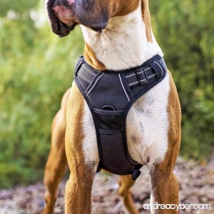 RABBITGOO Adjustable Dog Harness No Pull Easy Control Harness for Dogs - B075SXKR67