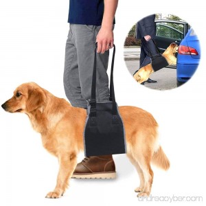 Roadwi Dog Lift Support & Rehabilitation Harness Oxford and Nylon Pad with Reflective Stitching Ideal Assist Sling for Dogs Recovering Recommended (Medium:25-55lbs Large:55-77lbs)Dogs - B072N4Z3BG