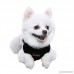 SCENEREAL Small Dog Harness Soft Adjustable Reflective Step In Mesh Vest - B07B65PBLJ