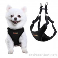 SCENEREAL Small Dog Harness Soft Adjustable Reflective Step In Mesh Vest - B07B65PBLJ