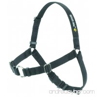 SENSE-ible No-Pull Dog Harness - B000A7QPTS