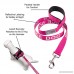 Service Dog Harness & Matching Leash Set | Available In 7 Sizes From Extra Small to Extra Large | Vest Features Reflective Patch and Comfortable Mesh Design From Industrial Puppy - B01GGAKHYG