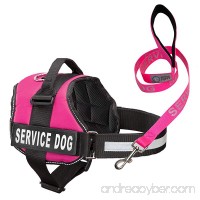 Service Dog Harness & Matching Leash Set | Available In 7 Sizes From Extra Small to Extra Large | Vest Features Reflective Patch and Comfortable Mesh Design From Industrial Puppy - B01GGAKHYG