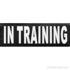 Service Dog In Training Reflective Hook and Loop Patch for DogStylze And Dean & Tyler Vests - B00JLLG7EC