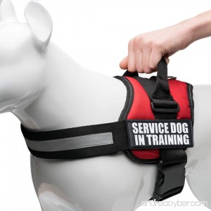Service Dog in Training Vest Harness Service Dog Harness with 2 Reflective SERVICE DOG IN TRAINING Patches by Industrial Puppy - B00PINWHAA