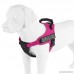 Service Dog Vest Harness - Military Grade Assistance Dog Harness With Removable Reflective Velcro Patches - Comfortable & Safe - Handle For Maximum Training Walking Control (FREE ADA Card Download) - B0798158M5