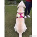 SGODA Dog Harness 3M Reflective Pet Vest Harness with Handle - B01LL6ZGIC