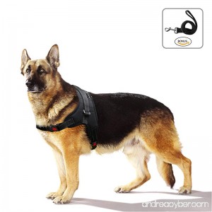 The One Dog Harness No-Pull Pet Harness - Adjustable Padded Reflective Dog Vest Harness and Leash Set - Easy Control for Small Medium Large Dogs - Perfect for Daily Training Walking Running - B075H8YQMK