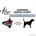 Therapy Dog Harness Service Working Vest Jacket Removable velcro Patches Purchase comes with 2 THERAPY DOG reflective removable patches. Please measure dog before ordering. - B00BOZ4RC2