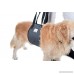Veterinarian Approved Dog Support Harness + Hair Remover Glove - Dogs Sling Lift for Paralyzed Legs - Adjustable Straps - Mobility Rehabilitation for Injured Arthritis Elderly Disable - All sizes - B077DPZ4L2
