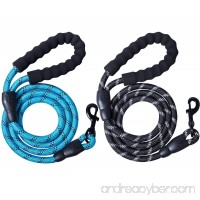 2 Packs 5 FT Strong Rope Dog Leash with Comfortable Padded Handle and Highly Reflective Threads for Small Medium Large Dogs - B07DW4QX12