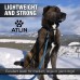 ATLIN Dog Leash with Padded Handle – Strong for Medium and Large Dogs – DynamicComfort Climbing Rope Pet Lead - 4 FT or 6 FT Leashes for the Perfect Amount of Control - Reflective Leash for Safety - B01N18CRR8