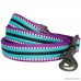 Blueberry Pet 8 Colors 3M Reflective Multi-colored Stripe Dog Leash 6 Colors Classic Staple Striped Genuine Leather and Polyester Webbing Dog Leash Matching Collar & Harness Available Separately - B01LY9OPDT