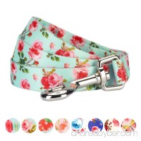 Blueberry Pet Durable Spring Scent Inspired Floral Dog Leash  Matching Collar & Harness Available Separately - B073W9SYHC