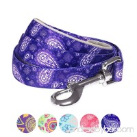 Blueberry Pet Paisley Flower Print Dog Leash with Neoprene Padded Handle  5 Colors  Matching Collar & Harness Available Separately - B01EFMROAW